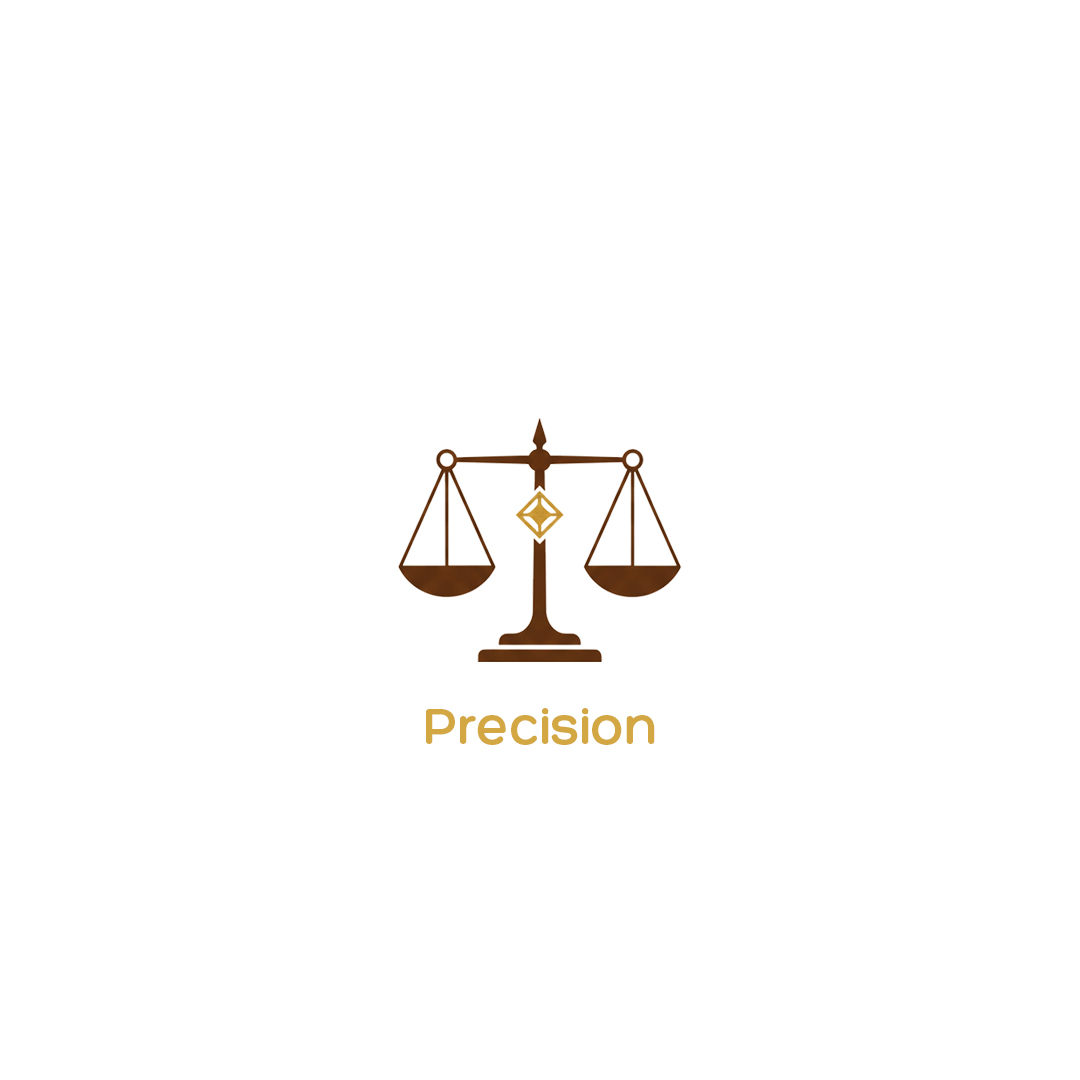 precision logo